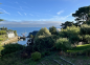 A louer : Maison sur l'ile de groix