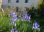 A louer : Maison sur l'ile de groix