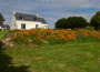Hébergement en : Maison sur l'ile de groix