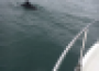 A louer : Appartement sur l'ile de groix