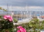 Hébergement en : Gîte sur l'ile de groix